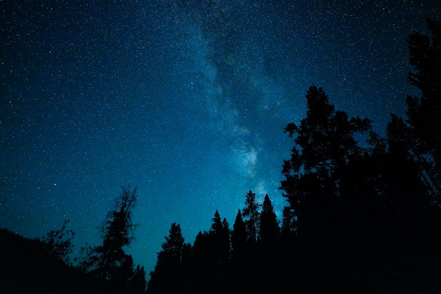 5 Signs You Are a Pleiadian Starseed